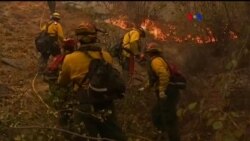 Incendios forestales devastan oeste de EE.UU.