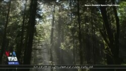 ناسا روشی جدید برای اندازه‌گیری کربن زمین دارد؛ چرا اینکار مهم است