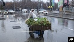 ফটো ফাইলঃ ২৪শে ফেব্রুয়ারী ২০১৫, তুষার ঝড়ের মাঝে ফেরিওয়ালা
এপিঃ মাসুদ হোসেইনি
