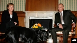 ARCHIVO - La canciller alemana Angela Merkel y el presidente ruso Vladimir Putin sostienen una reunión mientras pasa el perro de Putin, Cony, durante la reunión en la residencia de Putin en el balneario ruso de Sochi, en el Mar Negro, el domingo 21 de enero de 2007.
