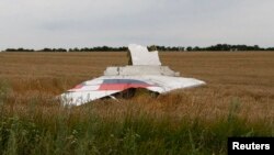 A part of the wreckage of a Malaysia Airlines Boeing 777 plane is seen after it crashed near the settlement of Grabovo in the Donetsk region, July 17, 2014. 