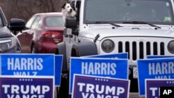 Megan, a Border Collie, waits for her owner Scot Lavoie to return from voting at VFW Post 2520, on Election Day, in Berlin, New Hampshire, Nov. 5, 2024.