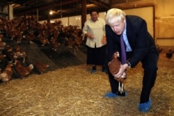 Britain's Prime Minister Boris Johnson, accompanied by local farmer Ingrid Shervington, holds a chicken during his visit to rally support for his farming plans post-Brexit, in Wales, July 30, 2019.