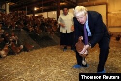 Britain's Prime Minister Boris Johnson, accompanied by local farmer Ingrid Shervington, holds a chicken during his visit to rally support for his farming plans post-Brexit, in Wales, July 30, 2019.