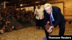 Britain's Prime Minister Boris Johnson, accompanied by local farmer Ingrid Shervington, holds a chicken during his visit to rally support for his farming plans post-Brexit, in Wales, July 30, 2019. 