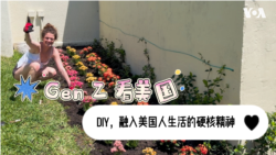 Gen Z看美国：DIY, 融入美国人生活的硬核精神