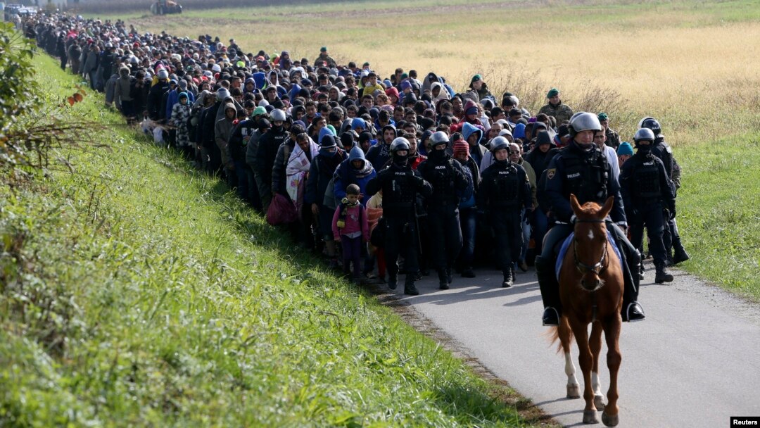 Polisi Slovenia mengatur para migran di dekat kota Dobova, Slovenia hari Selasa (20/10).