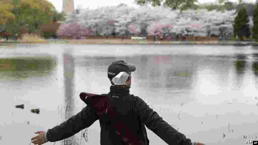중국 베이징의 옥연담공원(Yuyuantan Park)에 벚꽃이 활짝 핀 가운데 시민이 착용했던 마스크를 벗어 공기를 들이 마시고 있다. 