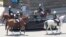 La police à cheval accompagne la voiture Rolls Royce du président zimbabwéen Robert Mugabe lors de l'ouverture de la 5ème session de la dernière législature à Harare, mardi 12 septembre 2017. Mugabe, 93 ans, s'est adressée à la dernière session du parleme