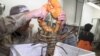 Sembilan Kilogram Lobster Ditemukan di Bagasi di Bandara Boston