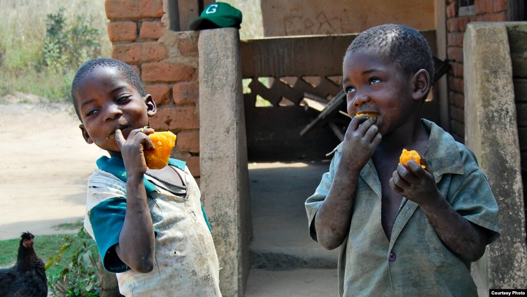 Anak-anak makan ubi merah yang manis. (Foto: Courtesy HarvestPlus)