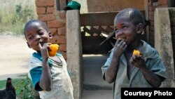 FILE - Children are seen enjoying orange sweet potatoes. (Courtesy - HarvestPlus)