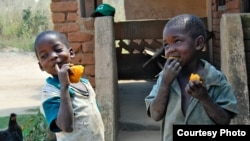 Des enfants mangeant des patates douces enrichies (Photo HarvestPlus)