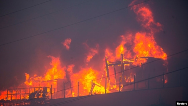 Požar u predgrađu Los Anđelesa (Foto: REUTERS/Ringo Chiu)