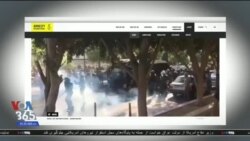 اخبار شامگاهی