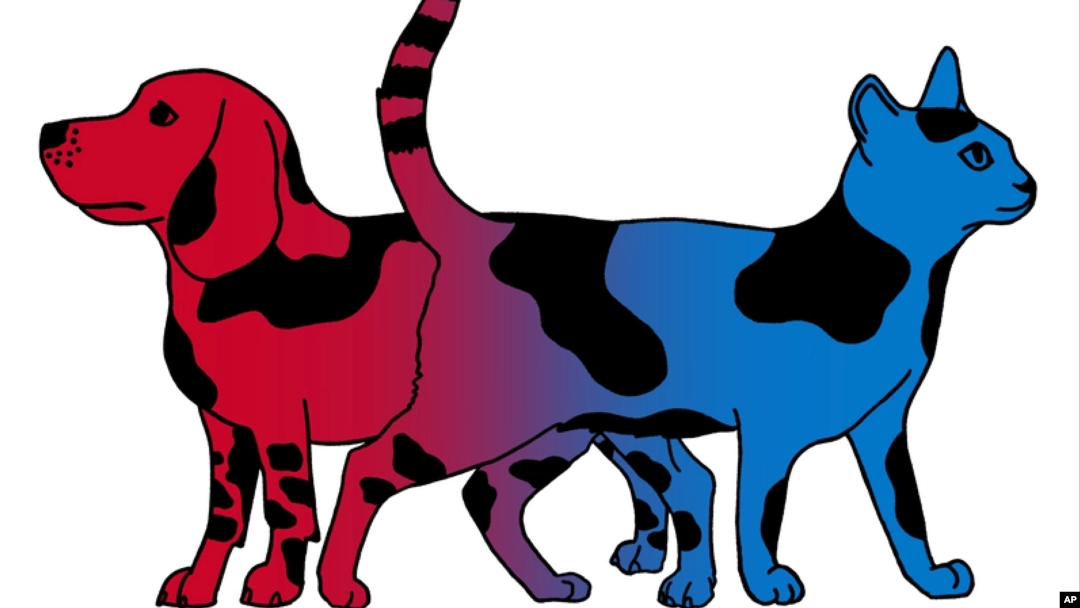Ilustracija: Pas i mačka u bojama republikanaca i demokrata.