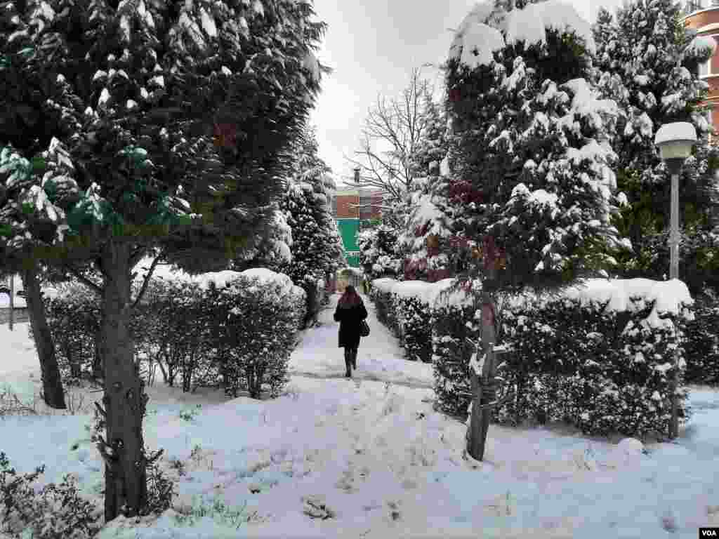 Shkodra snow 