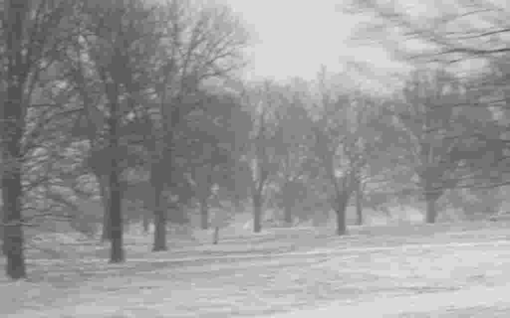 Washington se tiñe de blanco bajo una escasa capa de nieve.
