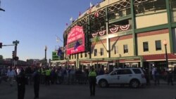 Penantian Panjang Fans Chicago Cubs