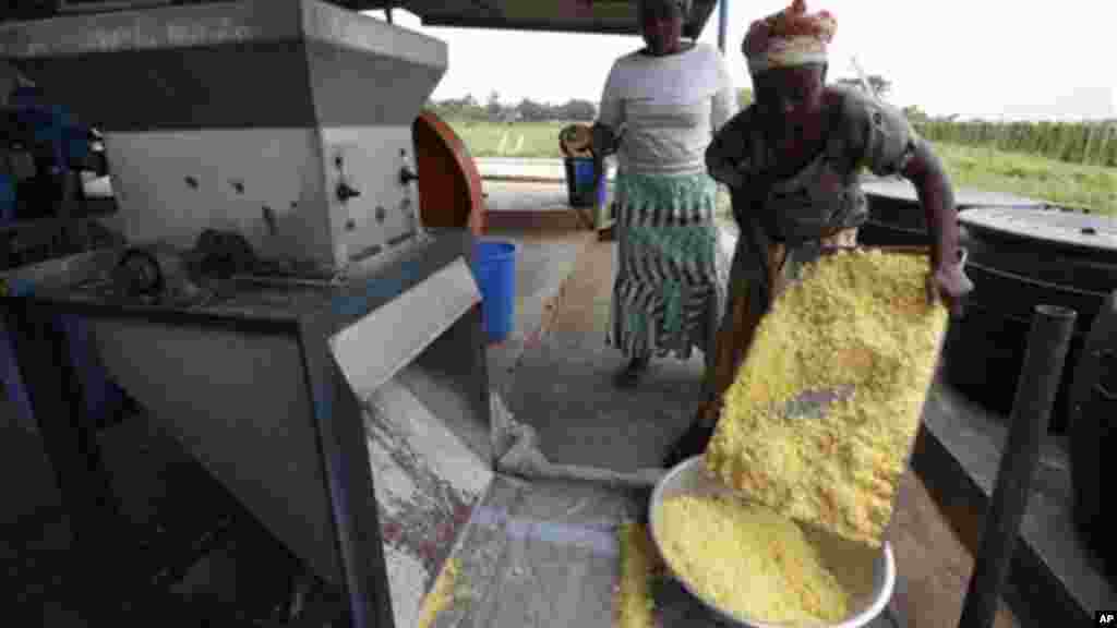 A woman prepared cassava into gari flour.