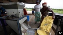 Des agricultrices au Nigeria