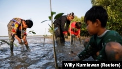 Samsudin menanam pohon-pohon bakau bersama anak-anak di Pantai Tiris, Desa Pabeanilir, Kabupaten Indramayu, Jawa Barat, 11 Maret 2021. (Foto: Willy Kurniawan/Reuters)