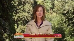 Buenos Días América 