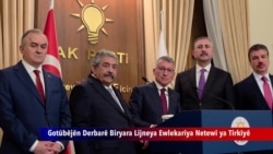 Hiqûqnas Biryardayîna Lijneya Ewlekarîya Netewî Dinirxînin