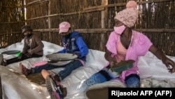 Des saisonniers tamisent des graines séchées d'artemisia, près du village de Faharetana, près d'Antananarivo, le 19 mai 2020. (Photo by RIJASOLO / AFP)