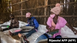 Des saisonniers tamisent des graines séchées d'artemisia, près du village de Faharetana, près d'Antananarivo, le 19 mai 2020.