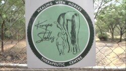 The Healing with Horses Therapeutic Centre logo.