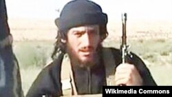 伊斯兰国发言人首席战略家阿德纳尼