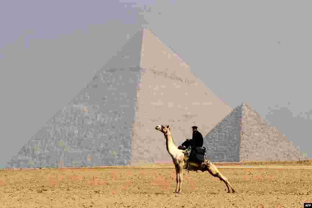 A mask-clad Egyptian policeman rides a camel in front of the Giza Pyramids on the southwestern outskirts of the Egyptian capital Cairo.