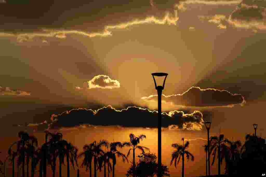Palm trees in City Park are silhouetted at dusk in Brasilia, Brazil, Oct. 6, 2020.