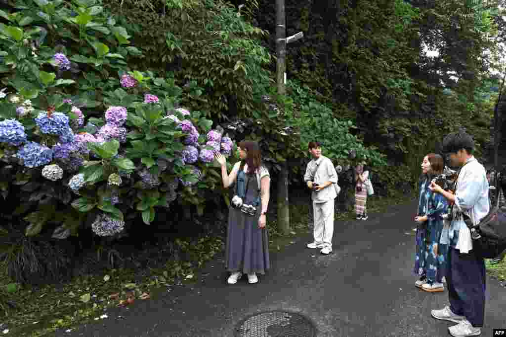 پارک کماکورا در جاپان &nbsp;