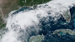 Citra satelit dari 8 September 2024 ini menunjukkan badai tropis Francine di Teluk Meksiko. Badai Francine diperkirakan akan menghantam Texas dengan hujan, lalu menghantam Louisiana sebagai badai. (NOAA via AP)