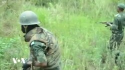 Waasi wa ADF wadaiwa kuuwa watu zaidi 40 DRC