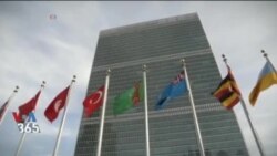 اخبار شامگاهی