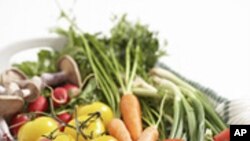 อาหารบำรุงกำลังสำหรับผู้ชาย และผู้หญิงนั้นไม่เหมือนกัน อย่างไร?