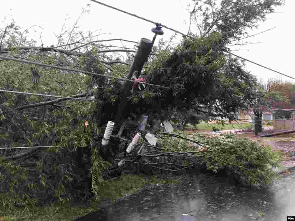 Postes eléctricos derribados por vientos provocados por el huracán Florence en Carolina del Norte. Muchos lugares en esa zona perdieron el servicio eléctrico.