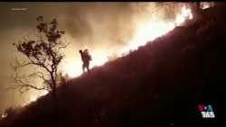 آتش به جان هیرکانی؛ روایت نابودی ریه‌های ایران
