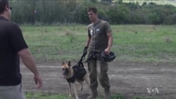 Dogs Help Sniff Out Poachers in South Africa