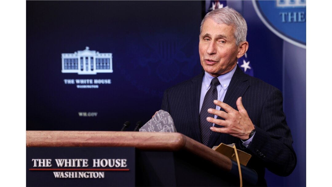 FILE - U.S. National Institute of Allergy and Infectious Diseases Director Anthony Fauci speaks at the daily press briefing at the White House in Washington, Jan. 21, 2021.