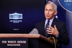 FILE - Dr. Anthony Fauci, director of the U.S. National Institute of Allergy and Infectious Diseases, speaks at the daily press briefing at the White House in Washington, Jan. 21, 2021.