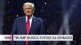 Trump busca nombrar su gabinete sin tener aprobación del Senado