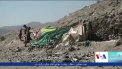 یو کال کې د نشه يي توکو اړوند په زرګونو قضیې څیړل شوي