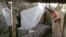FILE - A Sudanese women gets help setting up a bed net. 