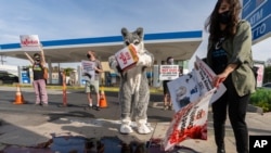 Members of People for the Ethical Treatment of Animals hold a demonstration with fake blood outside an ExxonMobil gas station to protest the oil company's support of the Iditarod Trail Sled Dog Race, Jan. 7, 2021, in Los Angeles. 
