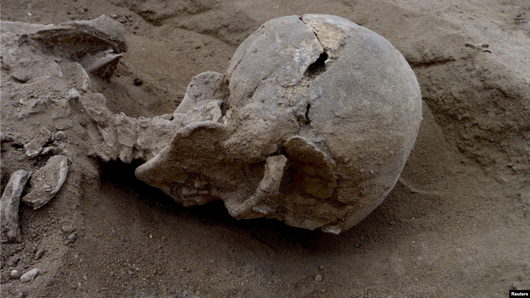 Detail of the skull of the skeleton of a man found lying prone in the sediments of a lagoon 30km west of Lake Turkana, Kenya, at a place called Nataruk, is pictured in this undated handout photo obtained by Reuters, Jan. 20, 2016.