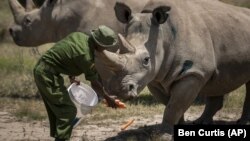 Nyika nhatu idzi dzinodyidzana pakuchengetwa kwemhuka dziri muGreater Mapungubwe Transfrontier Conservation Area.